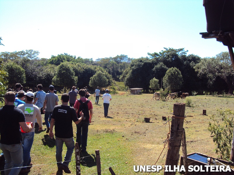 aula_cint_verde_20_agosto_2012 (20).JPG